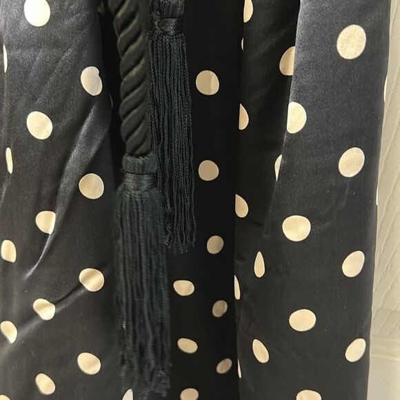 Elizabeth McKay Polka Dot Tie Waist Mini Silk Dress(Size 4) - Picture 6 of 14